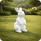 Lapin
