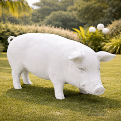 Collection image for: Cochon
