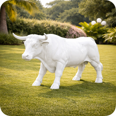 Collection image for: Taureau