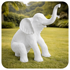 Collection image for: Eléphant