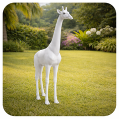 Collection image for: Girafe