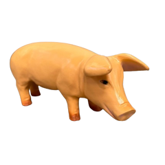 Collection image for: Cochon 100cm