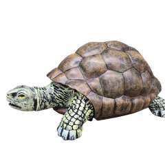 Collection image for: Tortue 110cm
