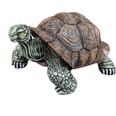 Collection image for: Tortue 65cm