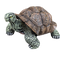 Tortue 65cm