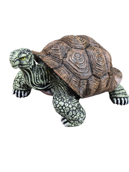 Sculpture Tortue en Résine 65 cm Nature Dorée – Statues Design